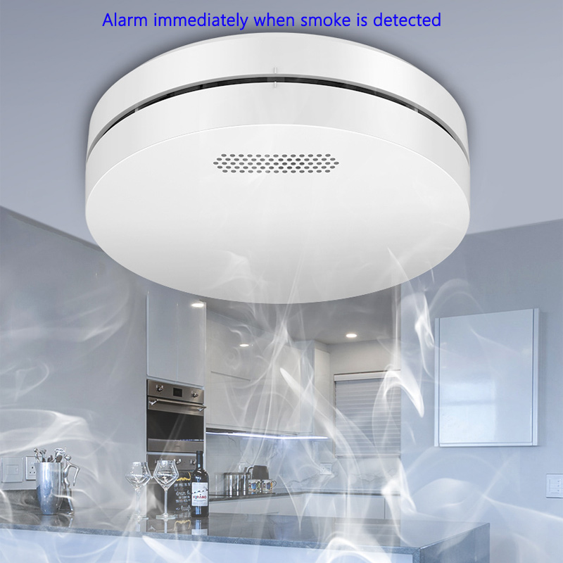 Tuya WiFi Detection Audible an - Lighting Visual 评论和价格