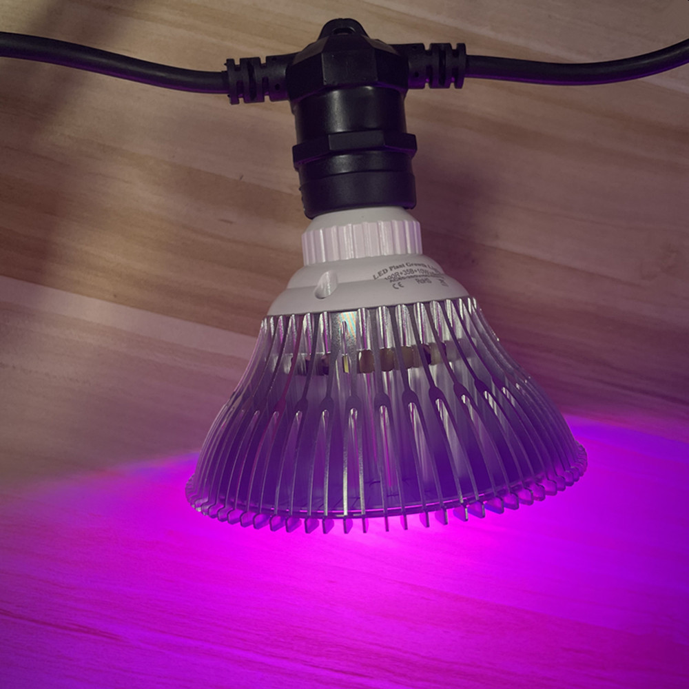 10M Cable LED String Commercia - Yard Lighting Decor 评论和价格