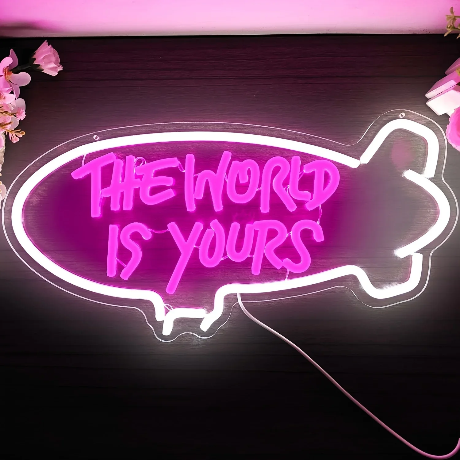 The World Is Yours Blimp Neon  - Lighting World Decor 评论和价格