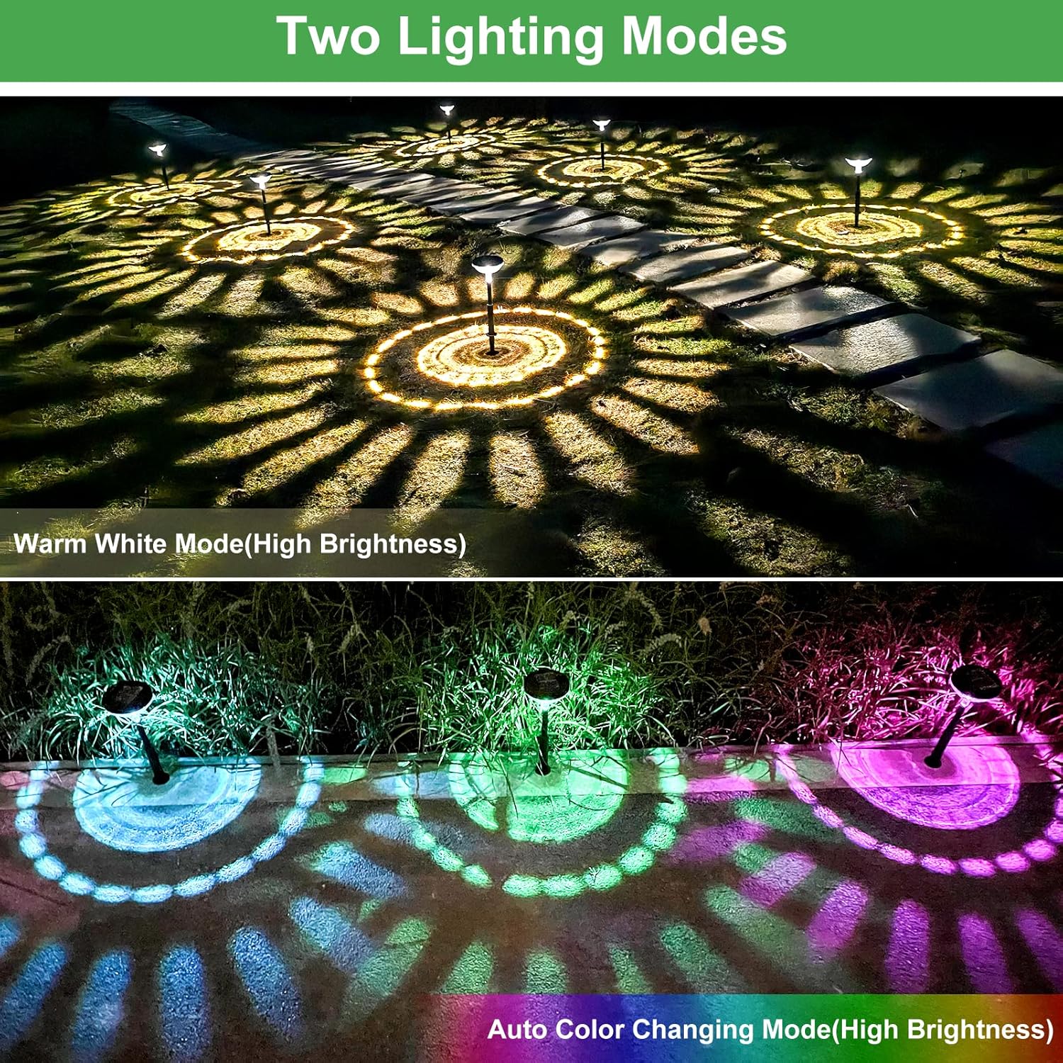 6 Pack Solar Pathway Lights wi - Yard Lighting Decor 评论和价格