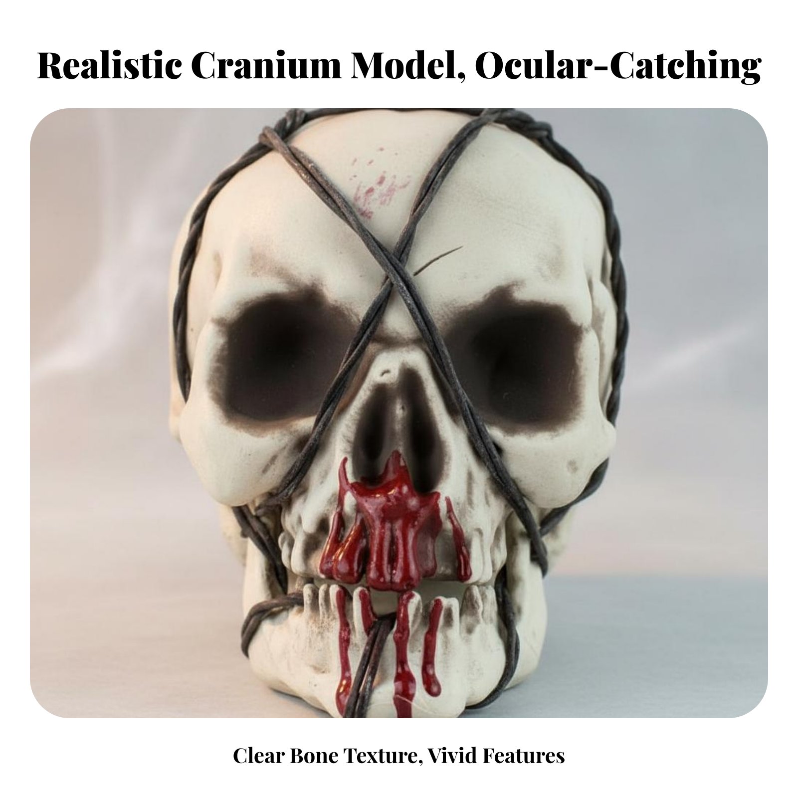 Realistic Skull Model Horror T - Lightings Decoration 评论和价格
